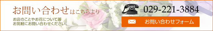 お問い合わせ　TEL.029-221-3884