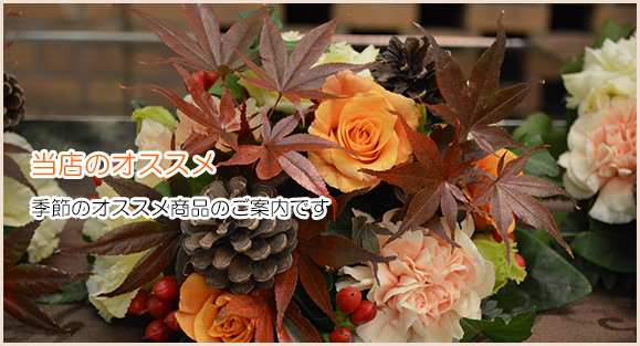 おまかせアレンジメントもオススメしております