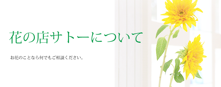 花の店サトーについて