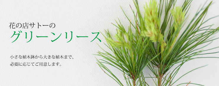 グリーンリース